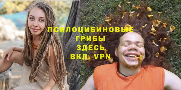 дживик Заводоуковск