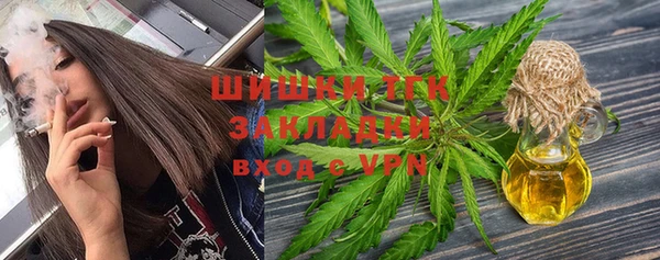 PSILOCYBIN Заволжье