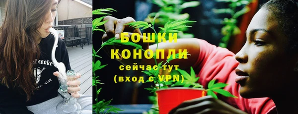 PSILOCYBIN Заволжье