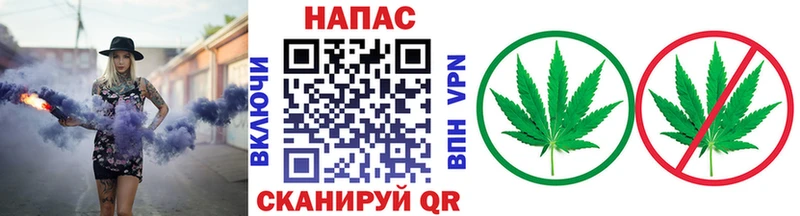 МАРИХУАНА White Widow Новое Девяткино